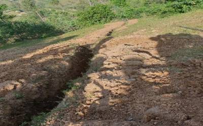 image11.jpeg image11.jpeg