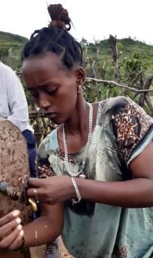 image7.jpeg image7.jpeg