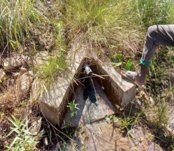 image10.jpeg image10.jpeg