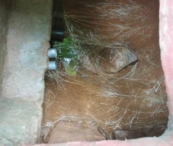 image12.jpeg image12.jpeg