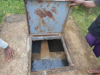 image5.jpeg image5.jpeg