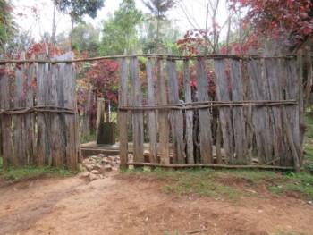 image9.jpeg image9.jpeg