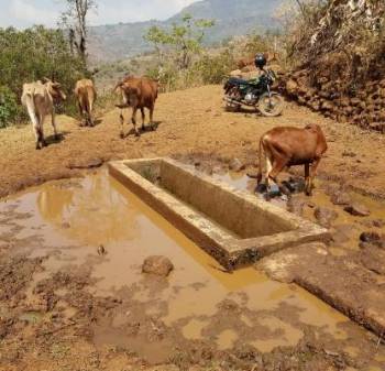 image16.jpeg image16.jpeg