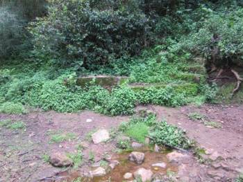 image11.jpeg image11.jpeg