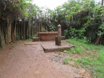 image14.jpeg image14.jpeg