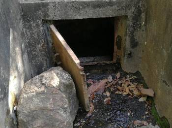 image6.jpeg image6.jpeg