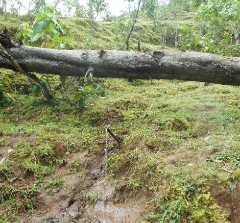 image4.jpeg image4.jpeg